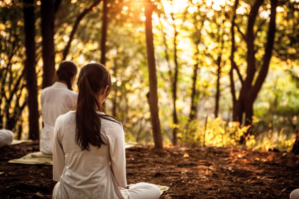 Women in white clothing sitting cross-legged in a sunlit forest practicing meditation at sunset.